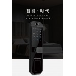 Electronic Smart Door Lock with Fingerprint and Password Function